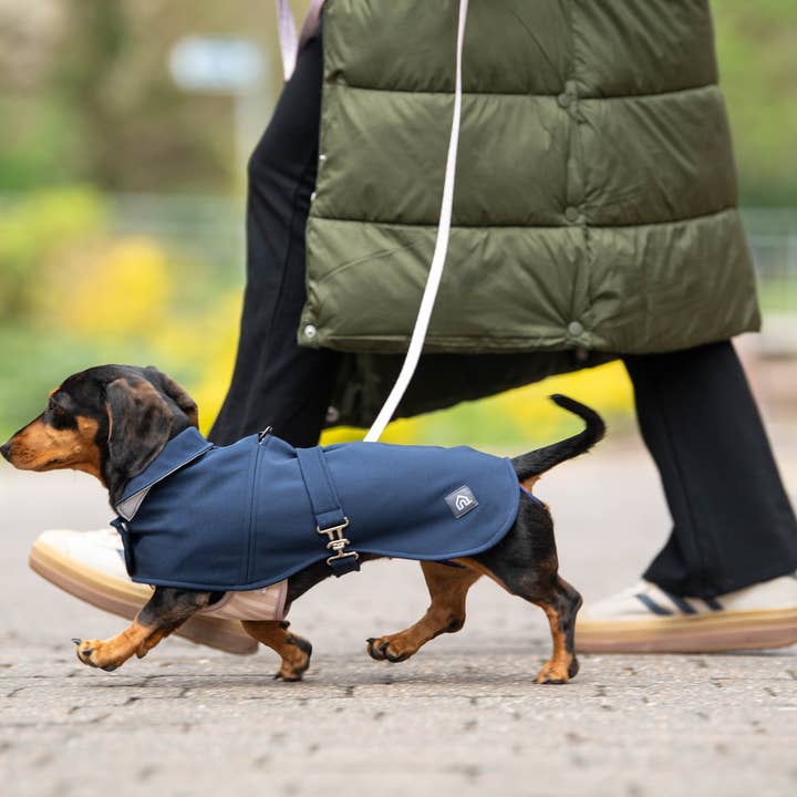 Doghouse - Wholesale Pet leash – Dog - Doghouse Everyday Comfort Dog Lead8