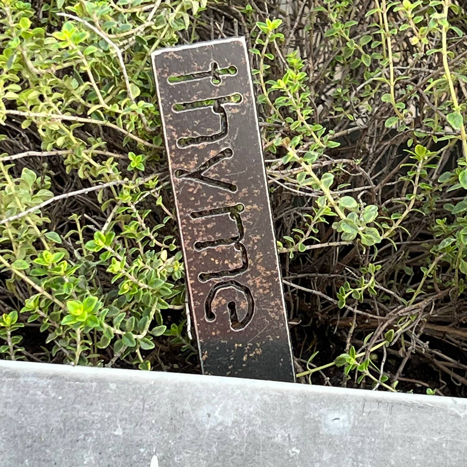 Free House - Wholesale Garden/Lawn Stake - garden labels1