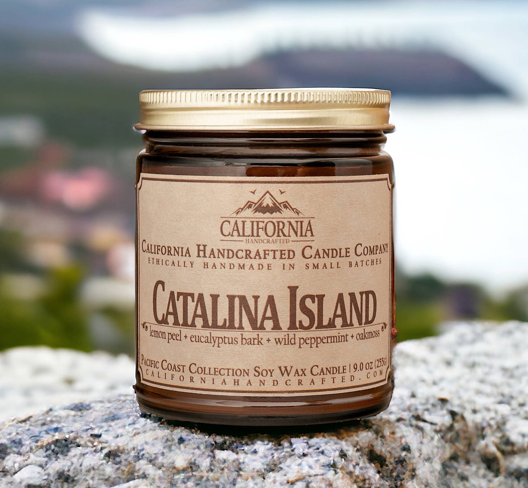 California Handcrafted - Vendita all'ingrosso Candele da viaggio - Candela in barattolo al cocco e albicocca dell'Isola di Catalina0