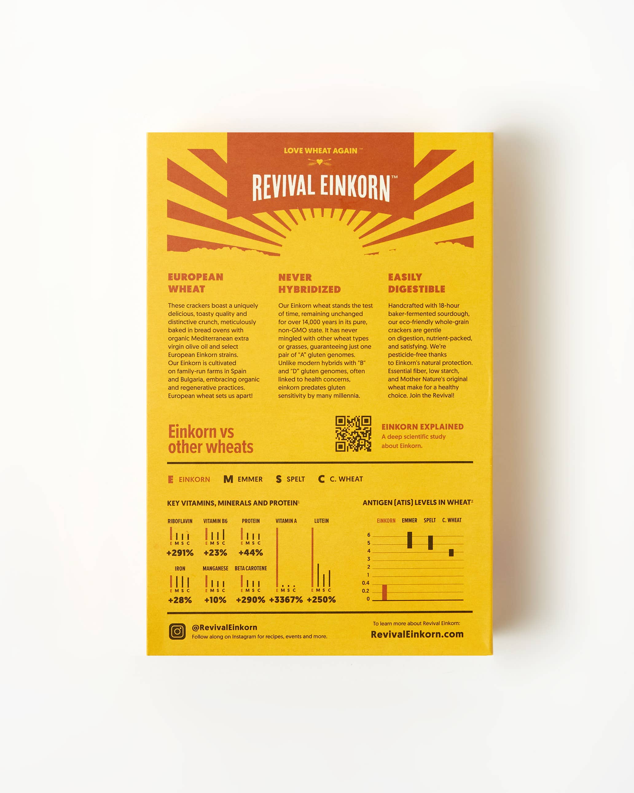 Revival Einkorn - Wholesale Crackers - Toasted Sesame & Honey5