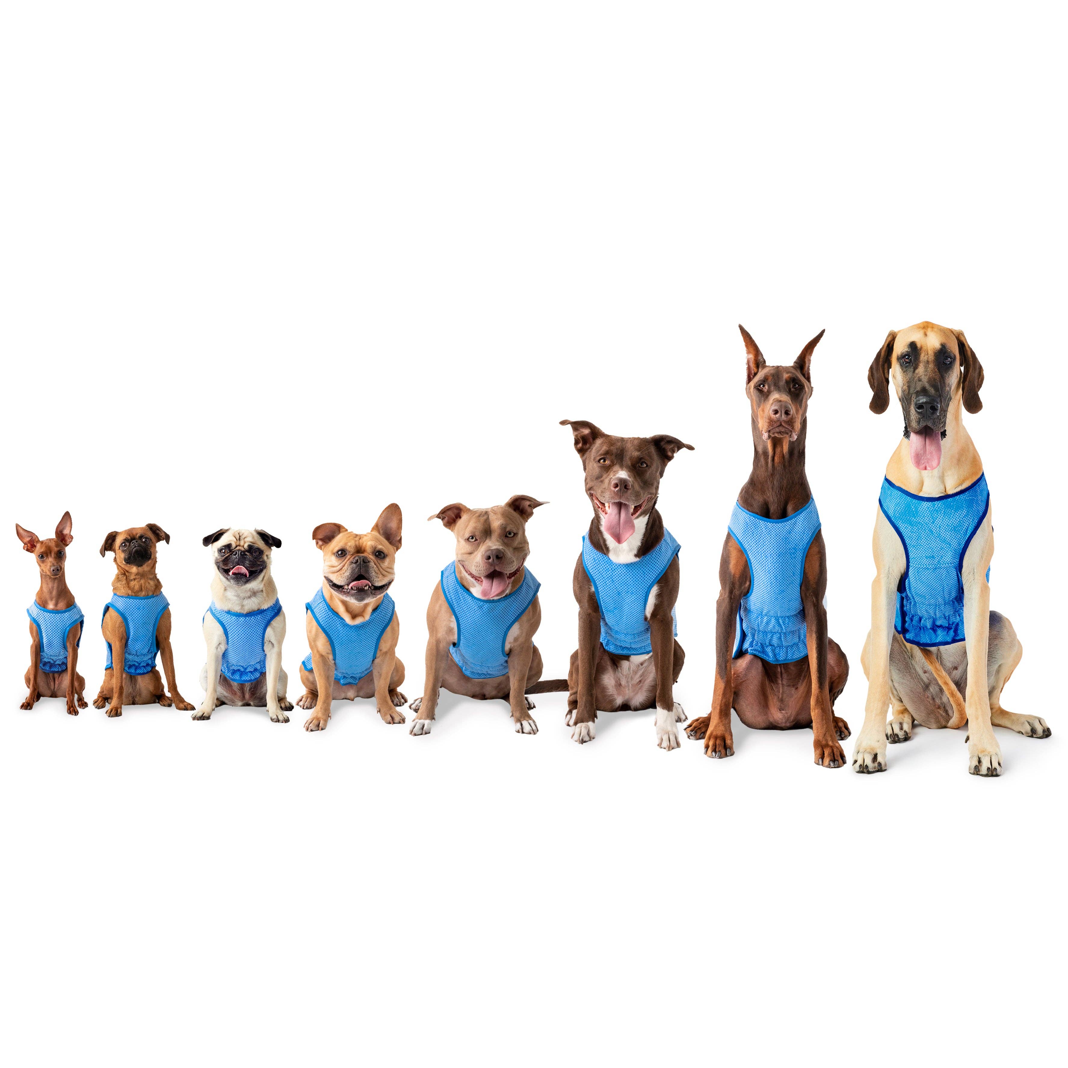 GF Pet – Engroshandel Vest - Hund – Elasto-Fit Isvest - Blå4