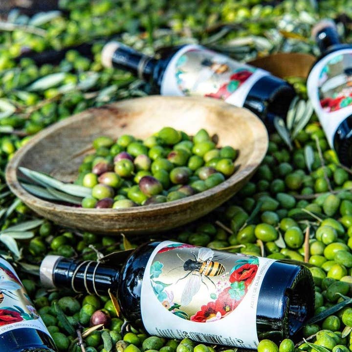 Chercheurs d'or vert - Wholesale Olive oil - Organic extra virgin olive oil “Day” 100% Picual 50CL2