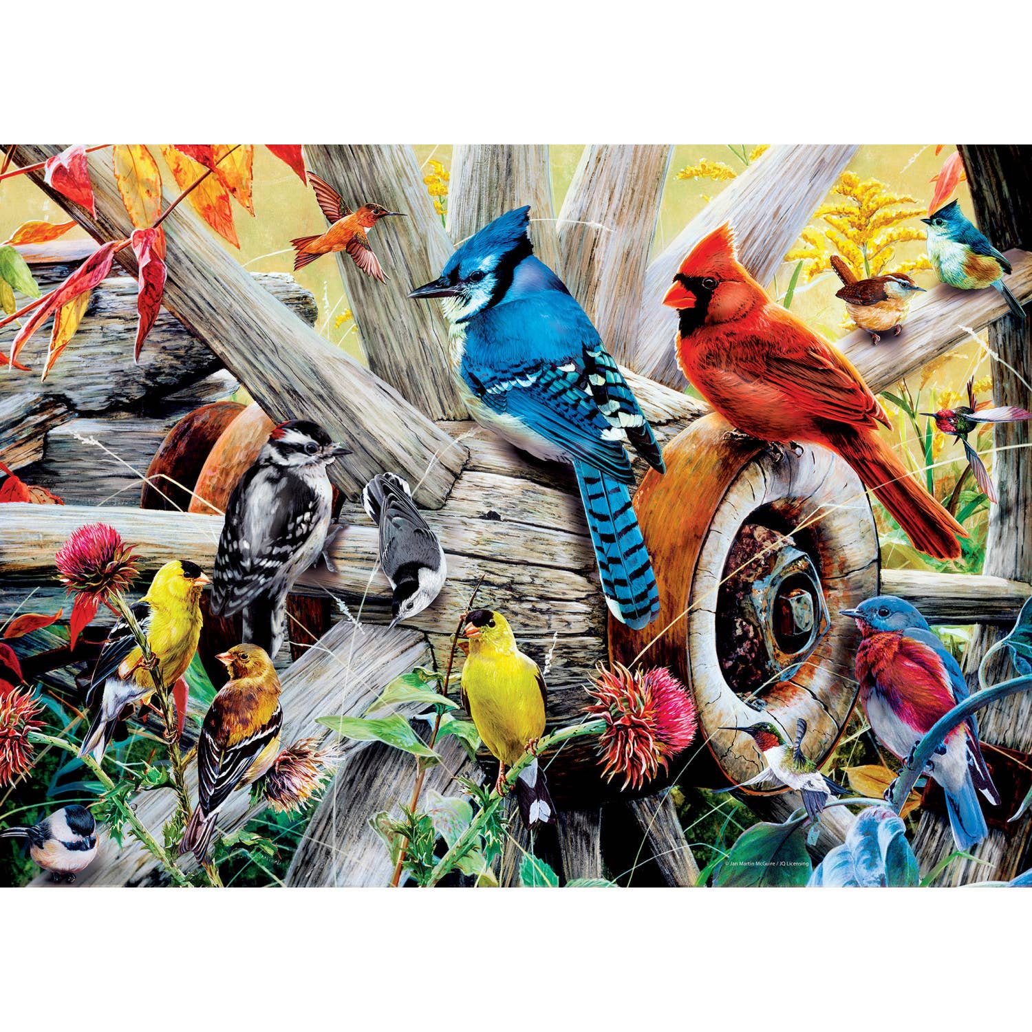 Masterpieces Puzzles - Wholesale Puzzle - Adult - Audubon - Backyard Birds 1000 Piece Puzzle1