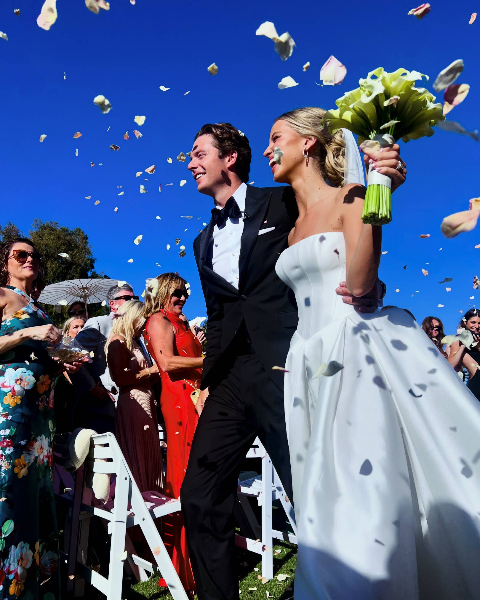 Flyboy Naturals Rose Petals - Wholesale Dried/pressed flowers - Bridal White/Ivory Freeze-Dried Rose Petals 30 Cups USA1