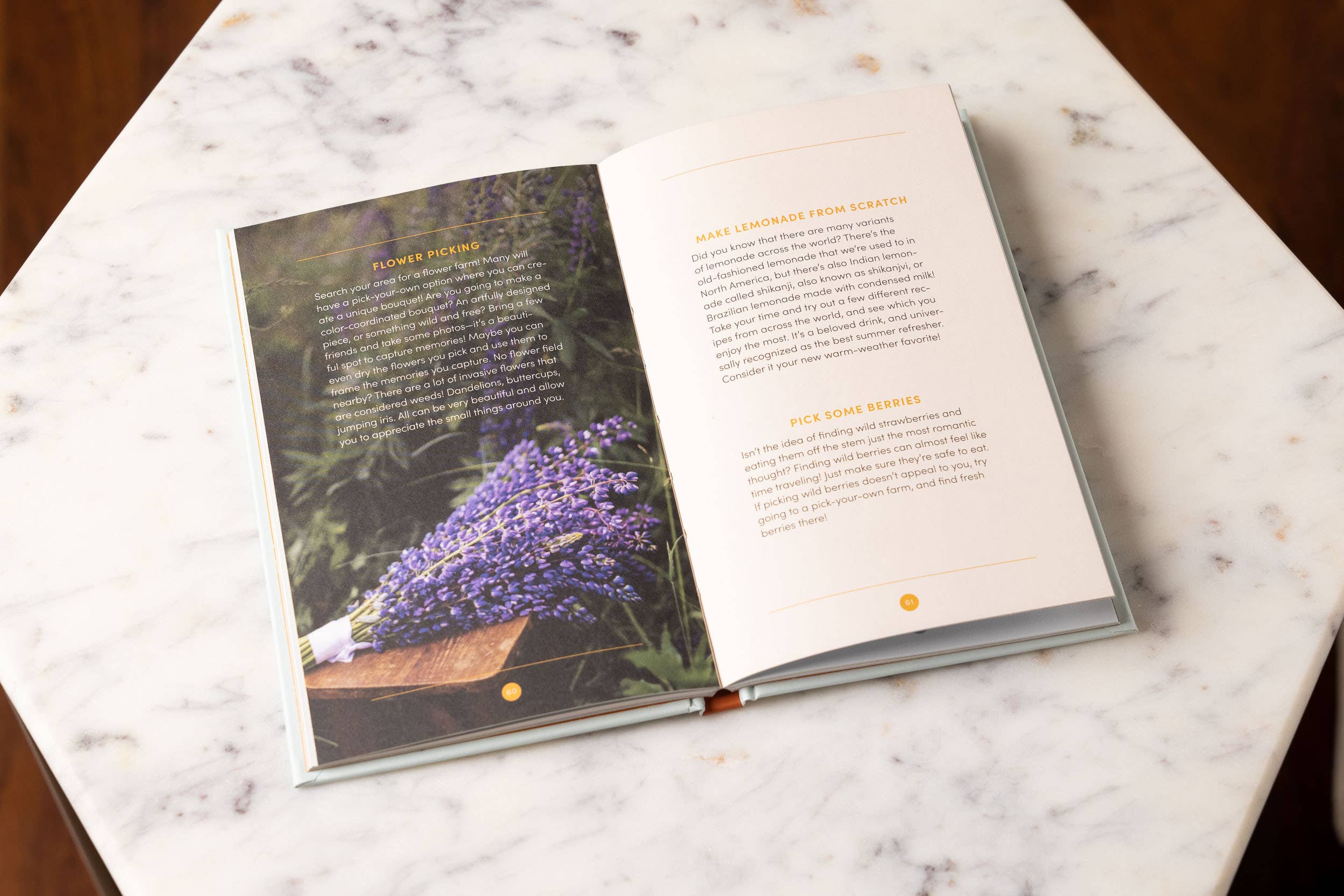 HarperCollins Focus - Wholesale Home & Garden - Cottagecore Simplified3