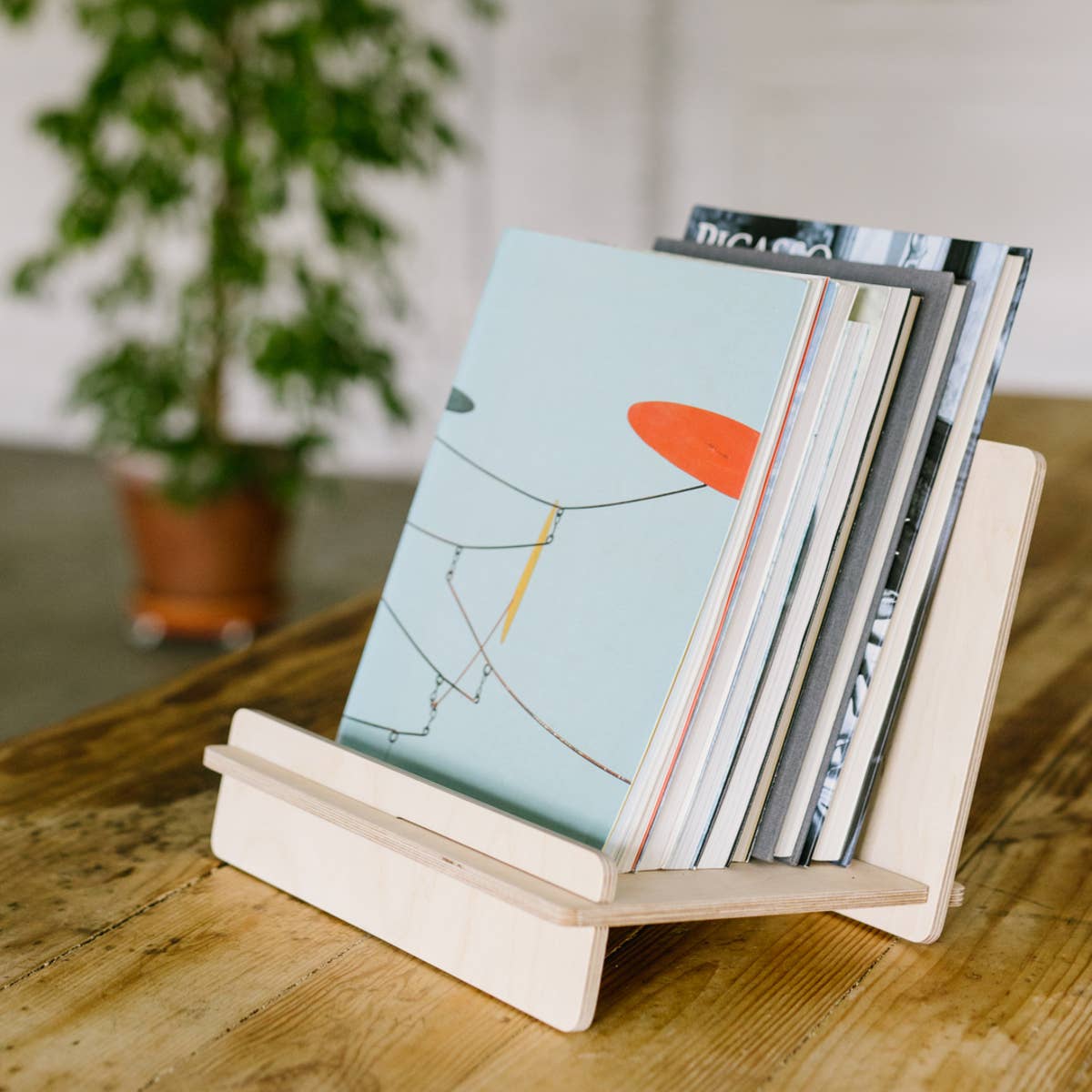 Debosc – Estante por atacado – Suporte para discos de vinil e livros - LA GATZARA5