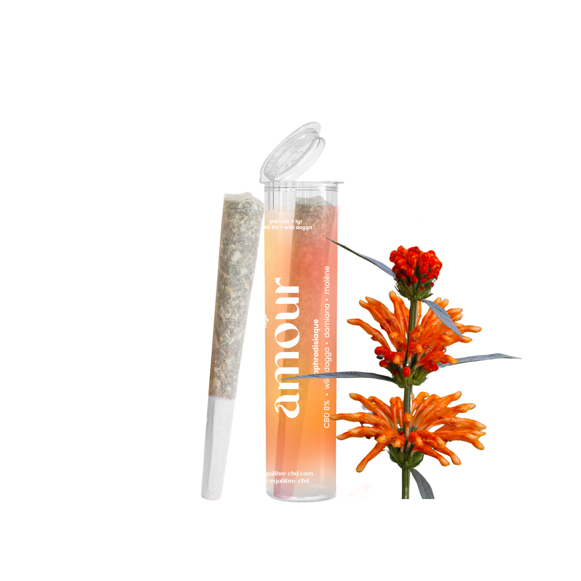 Equilibre - Wholesale Retailerdisplay - Doos met 20 prerolls8