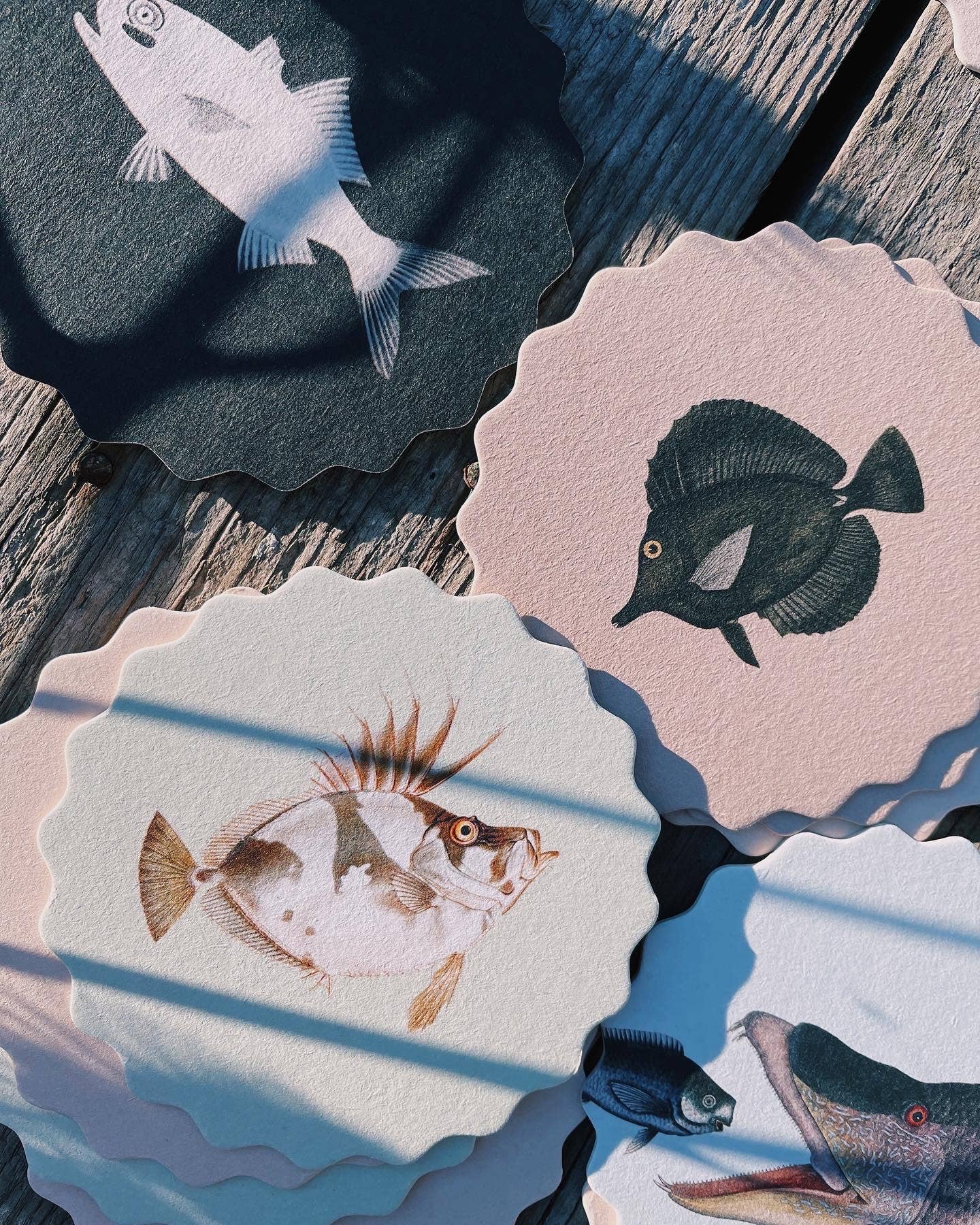 30x40 - Wholesale Coasters - Coaster Set Fish 🐠🐟🐡 10