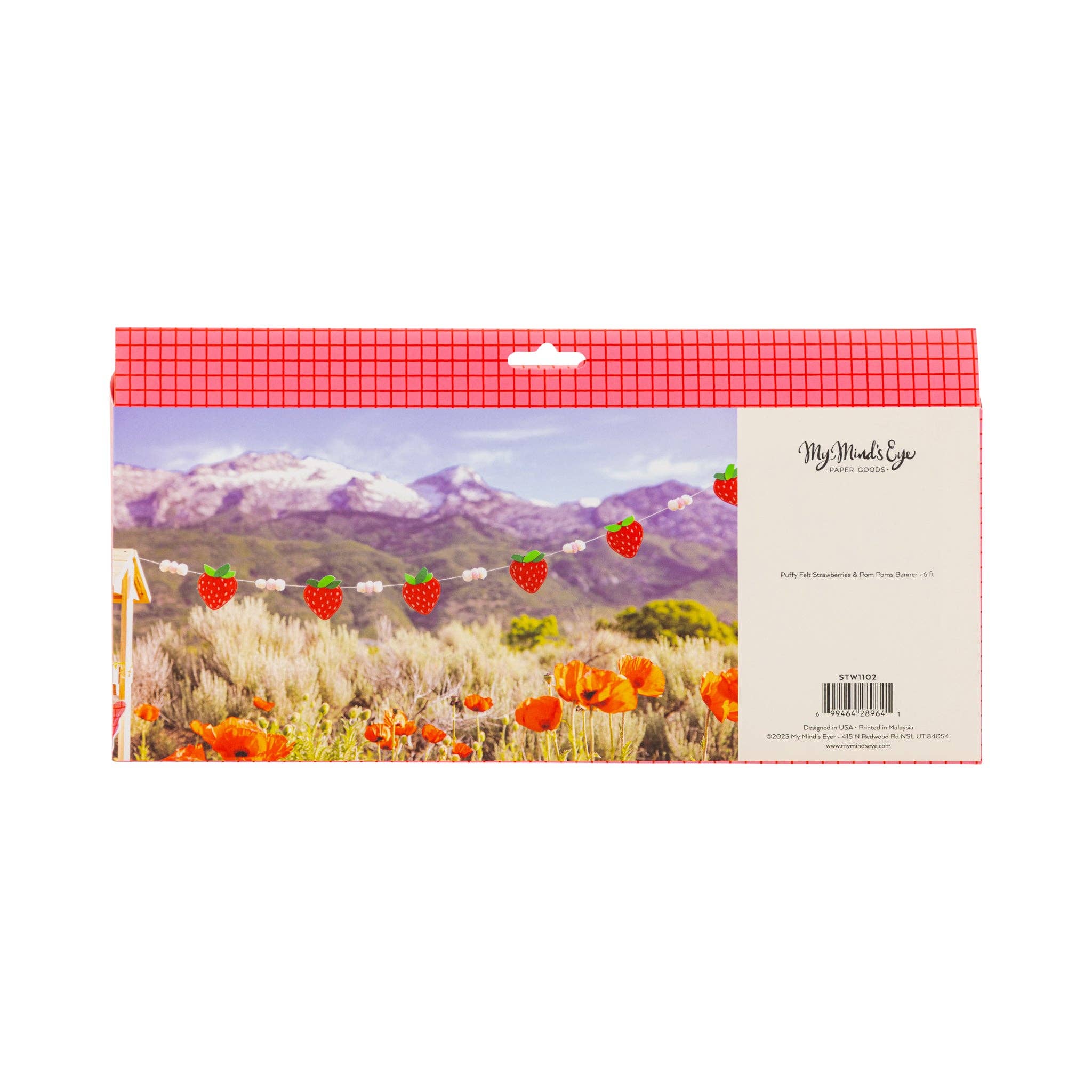 My Mind’s Eye - Wholesale Party sign/banner - STW1102 - Felt Strawberry Banner4