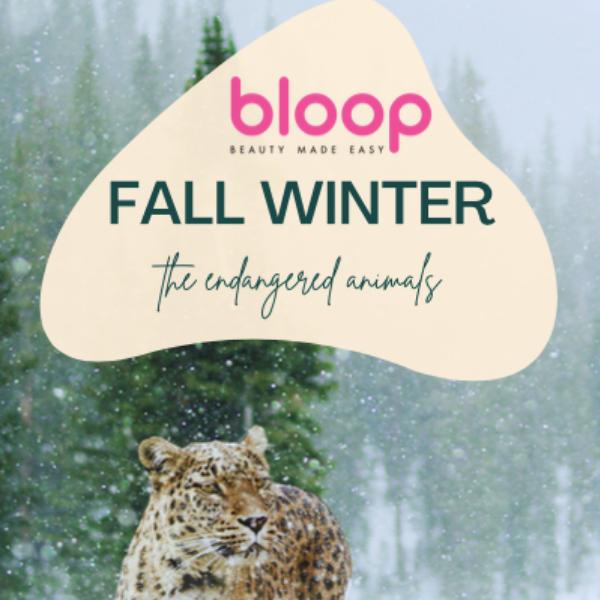 bloop make up made easy - Wholesale Nail polish - WD0033 DUO Water - Based Nail Polish 5ml x 2   3