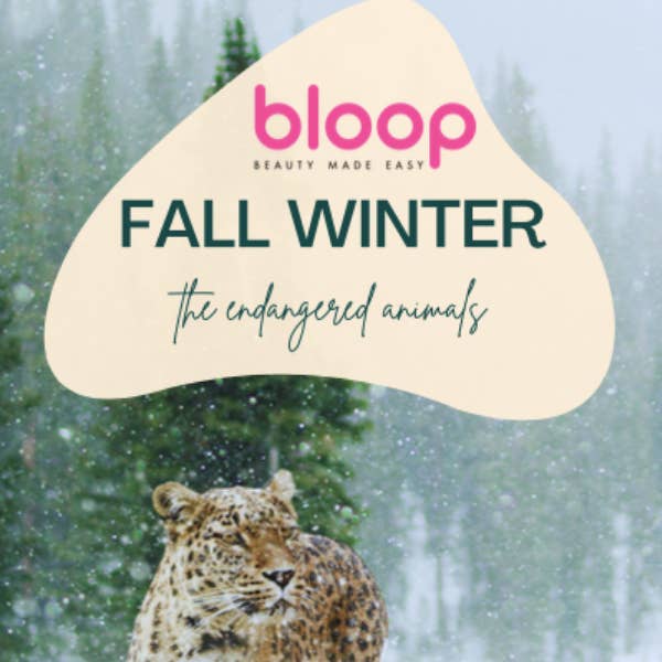 bloop make up made easy - Wholesale Nail polish - WD0036 DUO Water - Based Nail Polish 5ml x 2 2