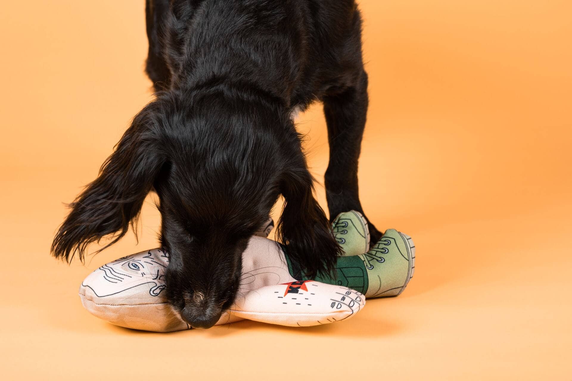 Pet Hates Toys - Wholesale Pet Plush Toy - Dog - Vladimir Putin dog toy1