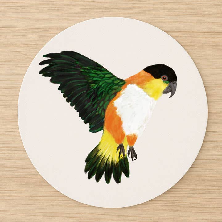 Black-Headed Caique Mousepad for wholesale by MerikaArt
