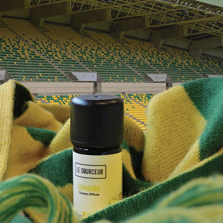 Le Sourceur - Wholesale Essential Oil - DAMIANA ESSENTIAL OIL1