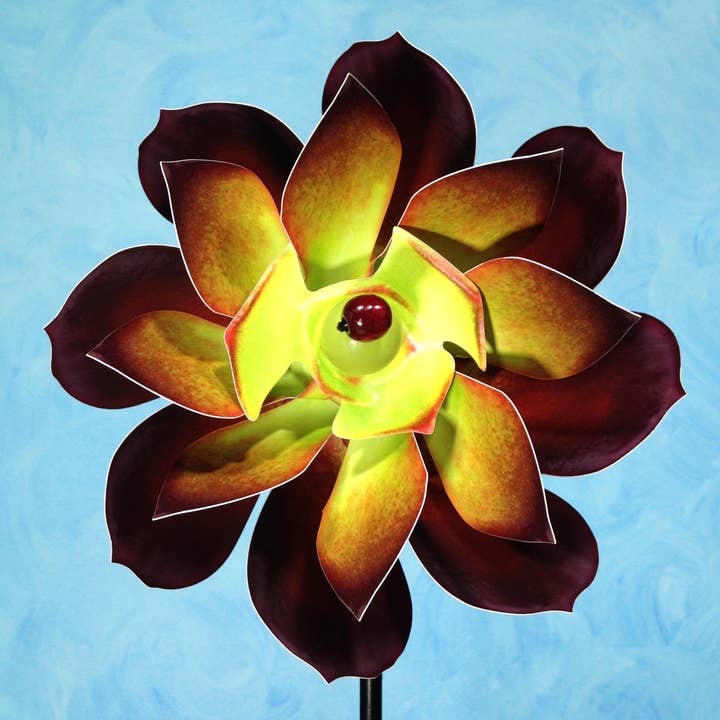 Aeonium Sukkulenten-Windrad mit Doppeldrehung für den Großhandel von Paper Arboretum