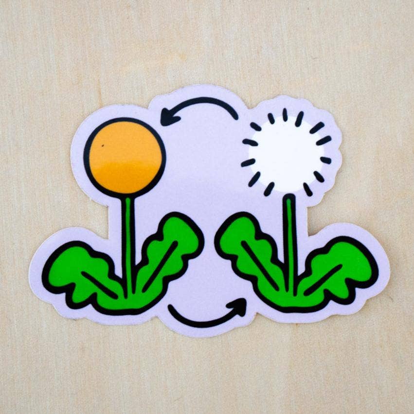 Pencil and Post - Vente Autocollant - Cycle de vie d'un autocollant de pissenlit0