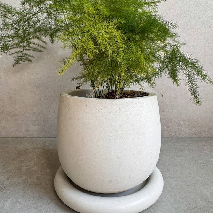 Minimal Loot Design – wholesale Kruka – Betongkruka med dränering, söt växtkruka, bubbelplanterare, dekorativ cementkruka, minimalistisk kruka med fat, nordisk, tjock kruka