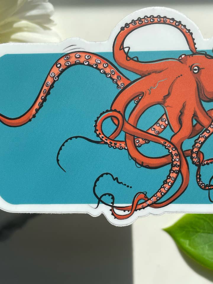 Adesivo de polvo por atacado de A Dresser Drawer