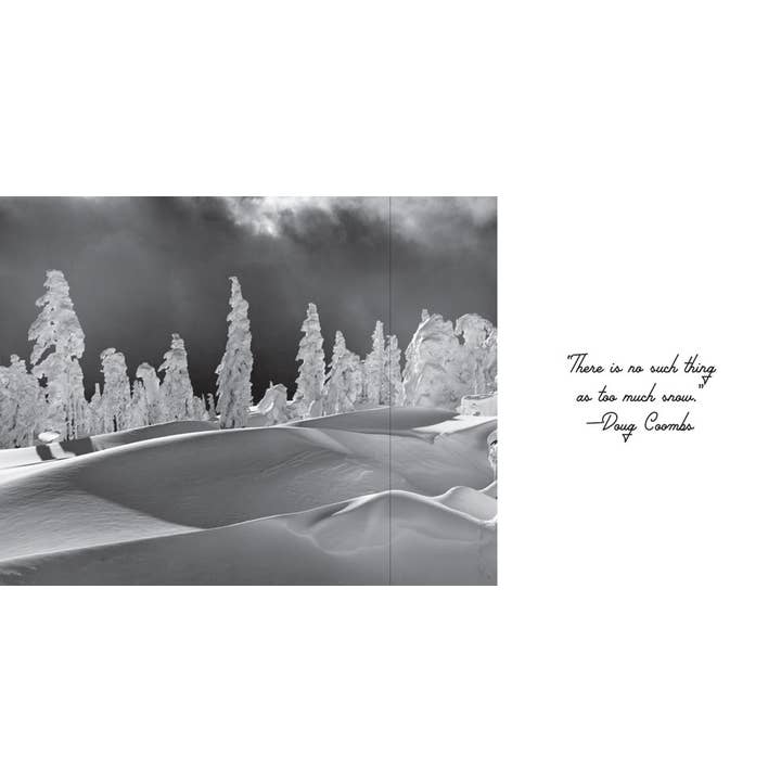 Familius, LLC - Wholesale Display Book - Vintage Skiing3