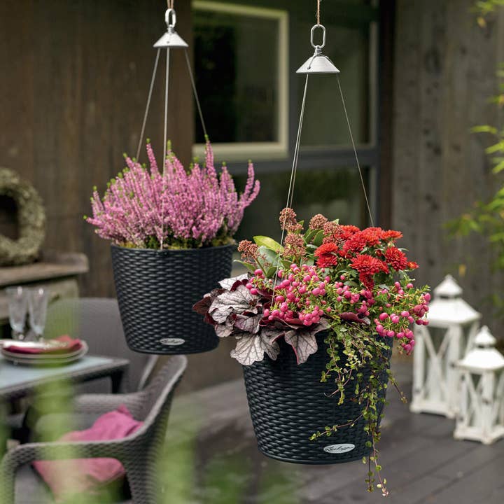 Lechuza Self Watering Planters - Venta al por mayor Macetas colgantes - Maceta colgante LECHUZA NIDO Cottage Poly Resina