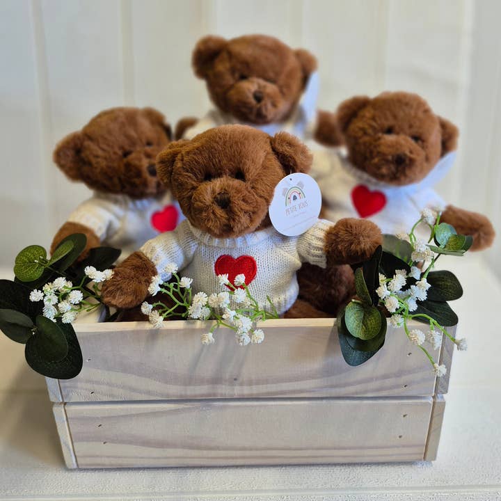Petite Vous Bowie the Bear Soft Toy (Love heart Jumper) for wholesale by PETITE VOUS