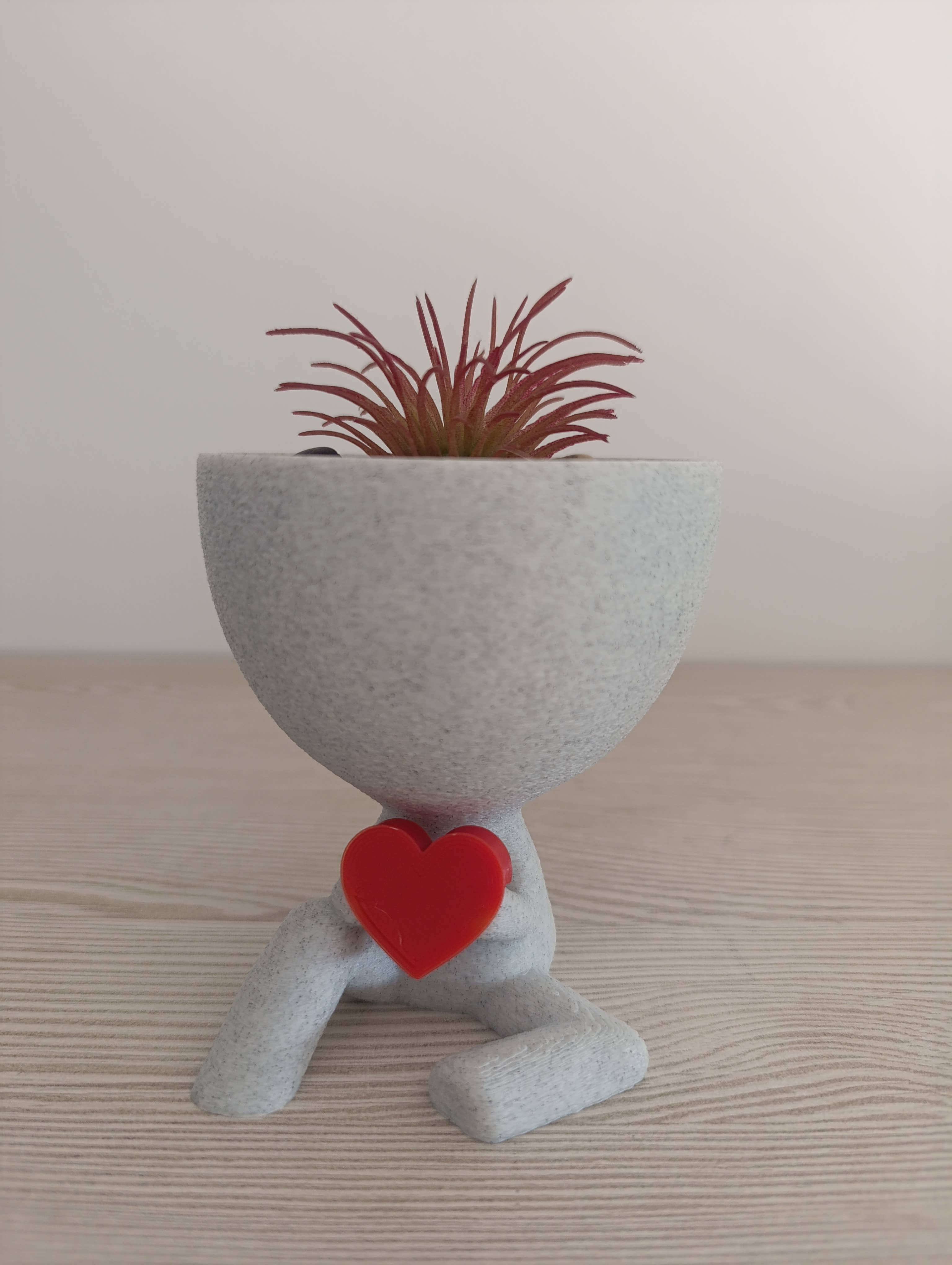 3DROOTS - Wholesale Plant pot - Lovers' gift - Valentine's Day Pot - Rough effect0