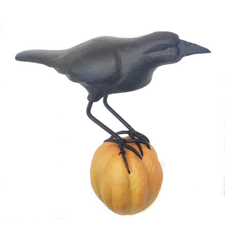 Three Points Design - Venta al por mayor Figura decorativa - Cuervo sobre calabaza3