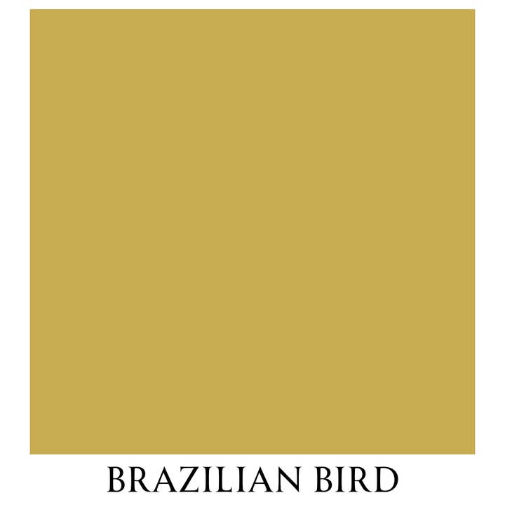 Brazilian Bird Vintage Chalk Furniture Paint Size: 1 Quart for wholesale by Autentico USA