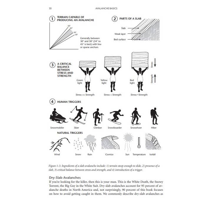 Mountaineers Books - Wholesale Nature & Outdoors - Staying Alive in Avalanche Terrain, 3rd Edition5