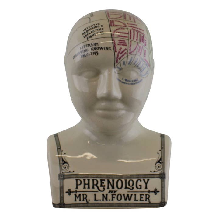 Natural Multi Large Ceramic Crackle Phrenology Head for wholesale on Faire