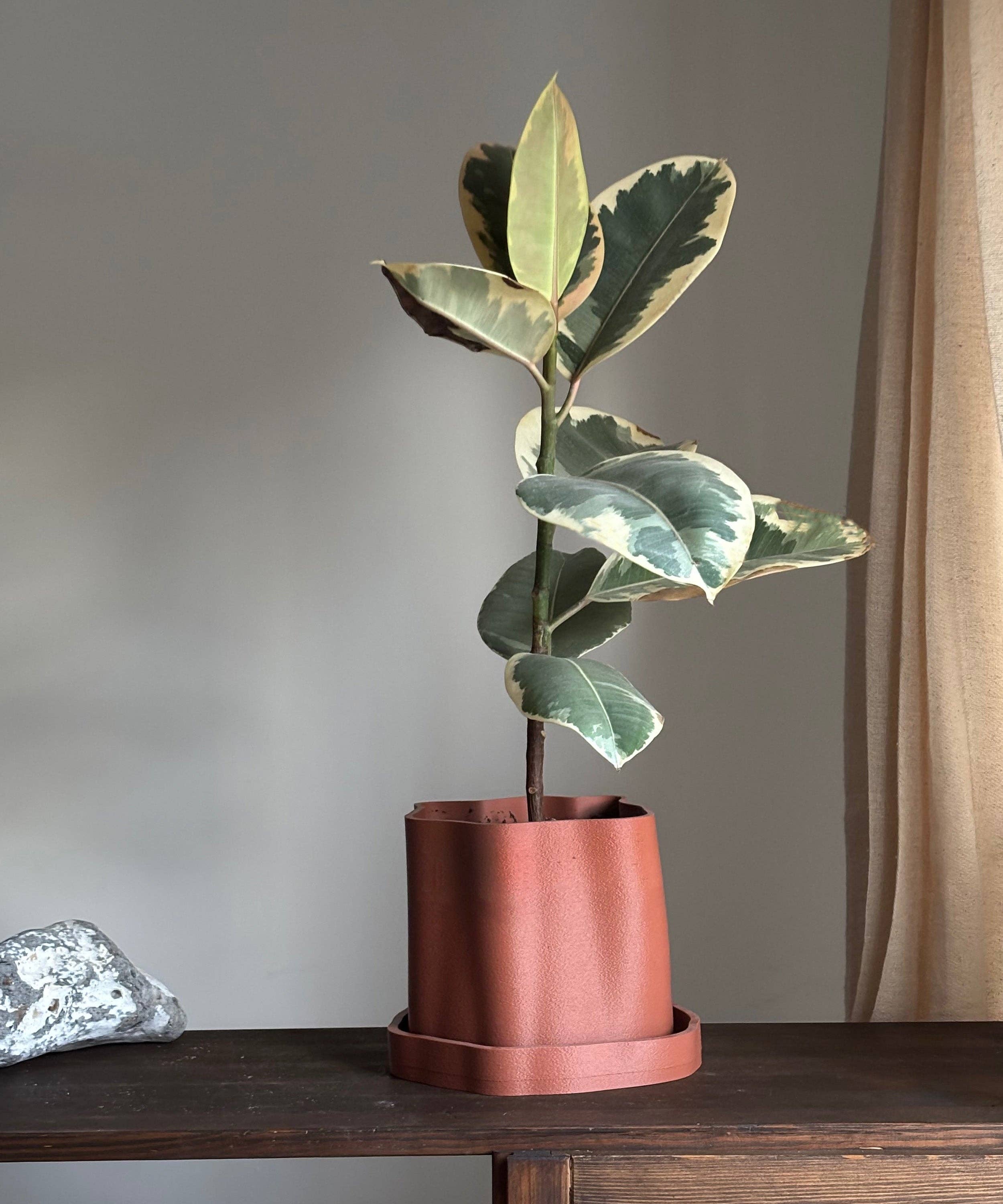 Amanitas Garden | Plant Pot 01 | Burnt Ochre for wholesale on Faire0