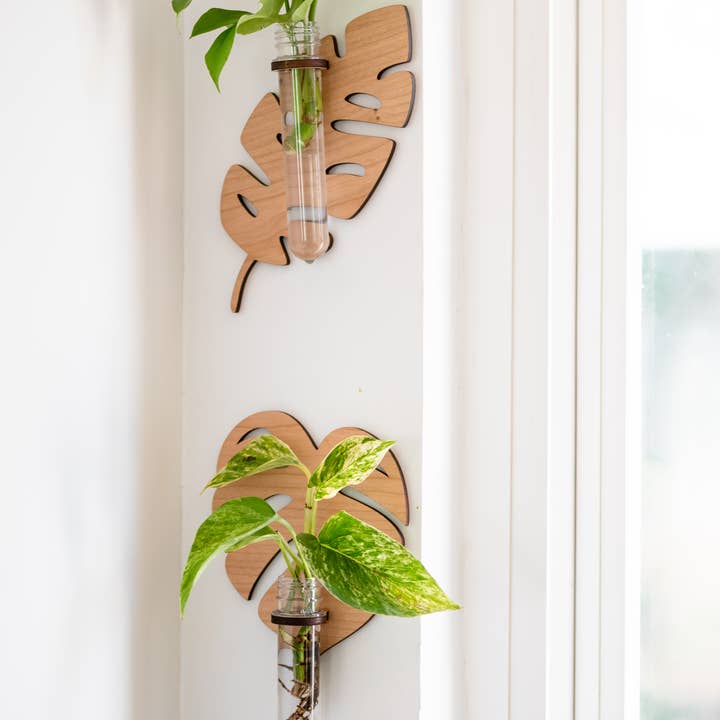 Teströhrchenstation zum Aufhängen von Blättern für den Großhandel von Reece Design Works