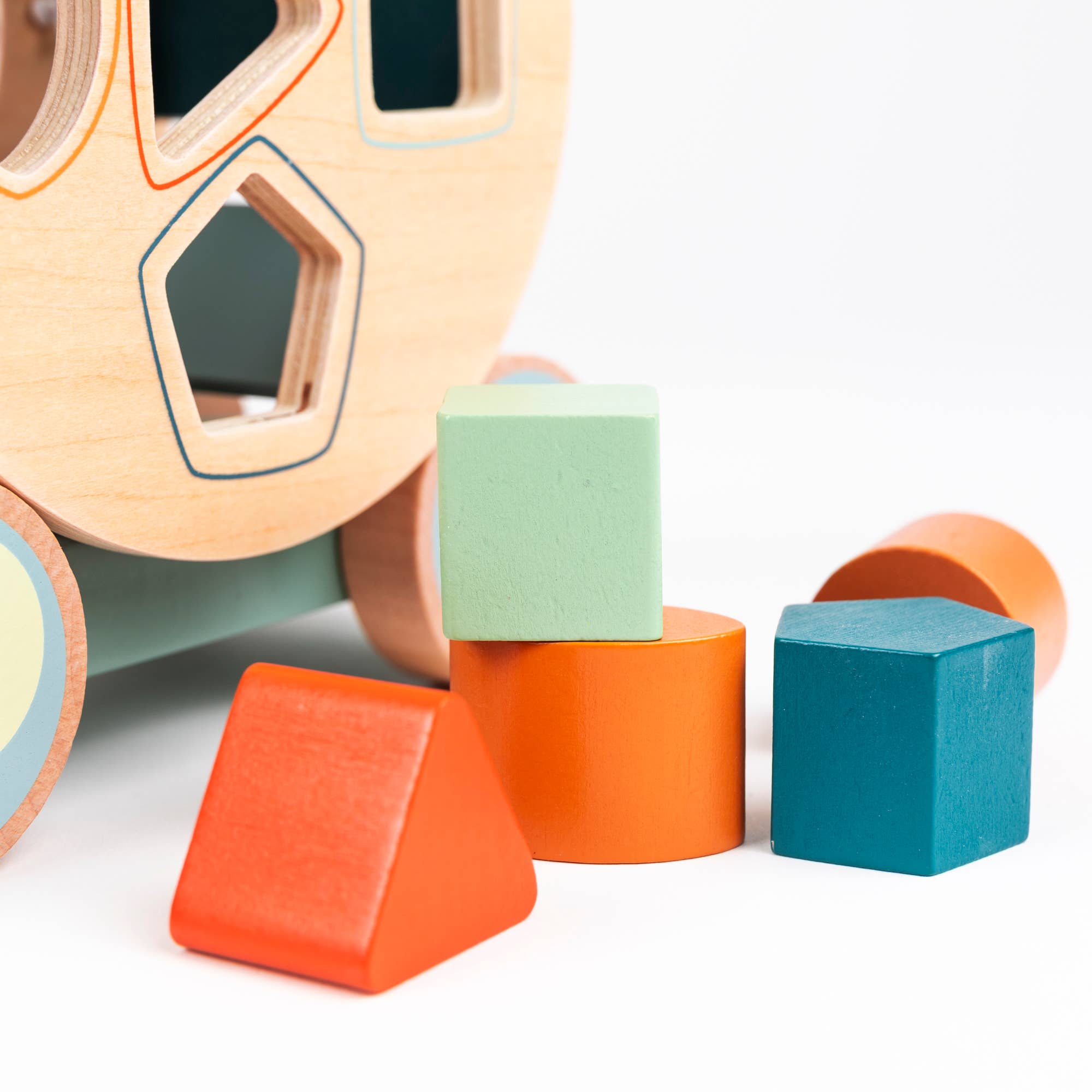 Egmont - Wholesale Wood Toy - Kids - Pull-Along Turtle4