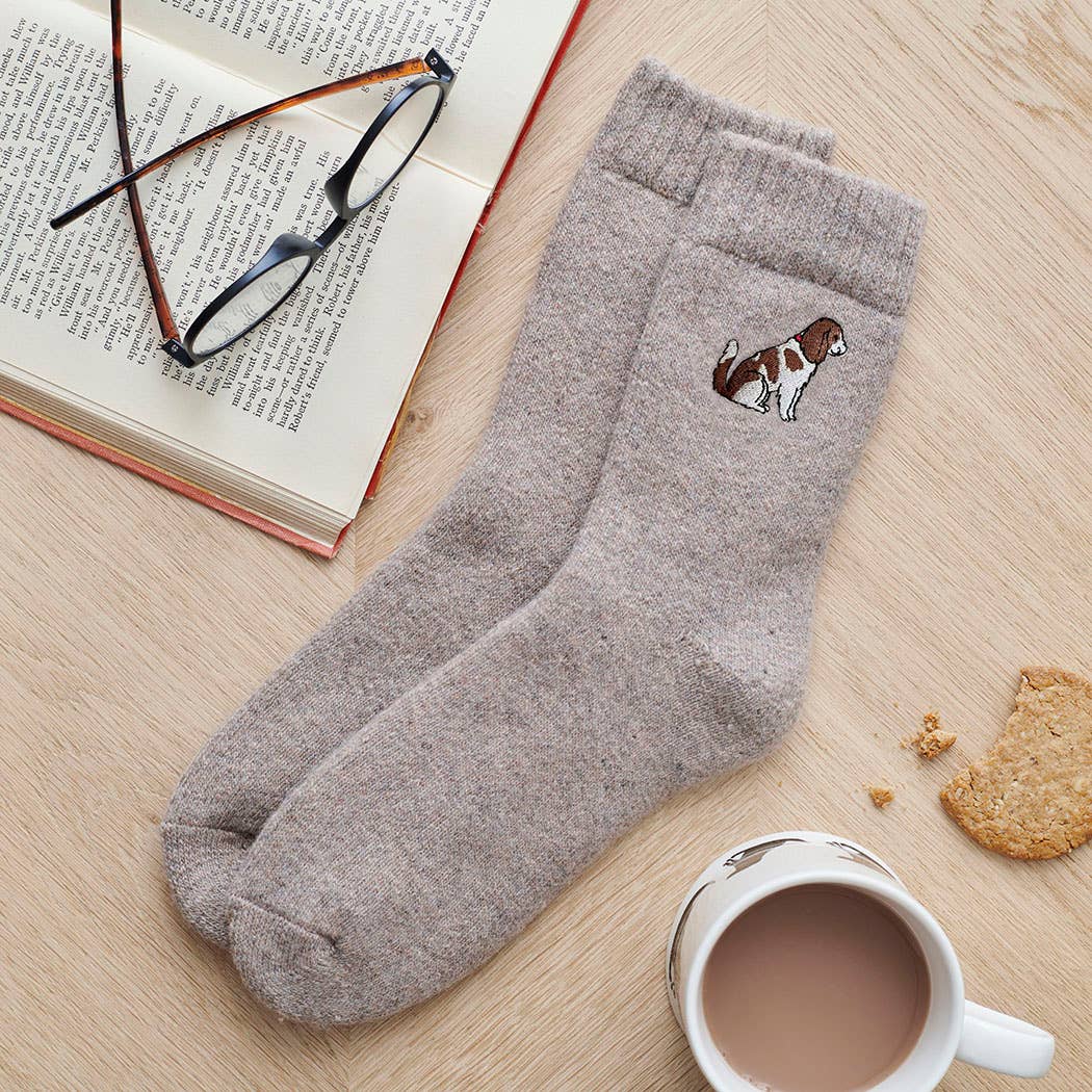 Sweet William Designs – wholesale Socks – Unisex – Dog Walking Socks - Cavalier King Charles Spaniel2