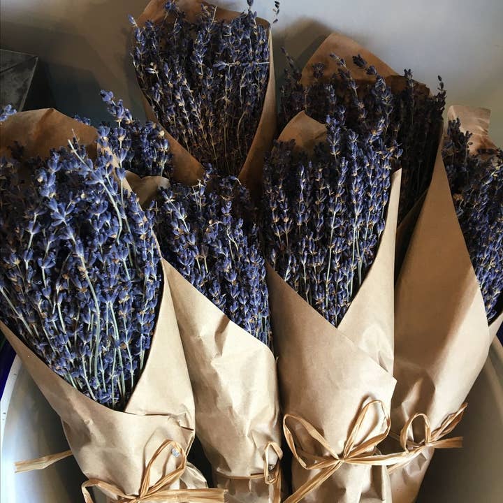 Violet Beach House – Großhandel Getrocknete/gepresste Blumen – Französisches Bio-Lavendelbündel