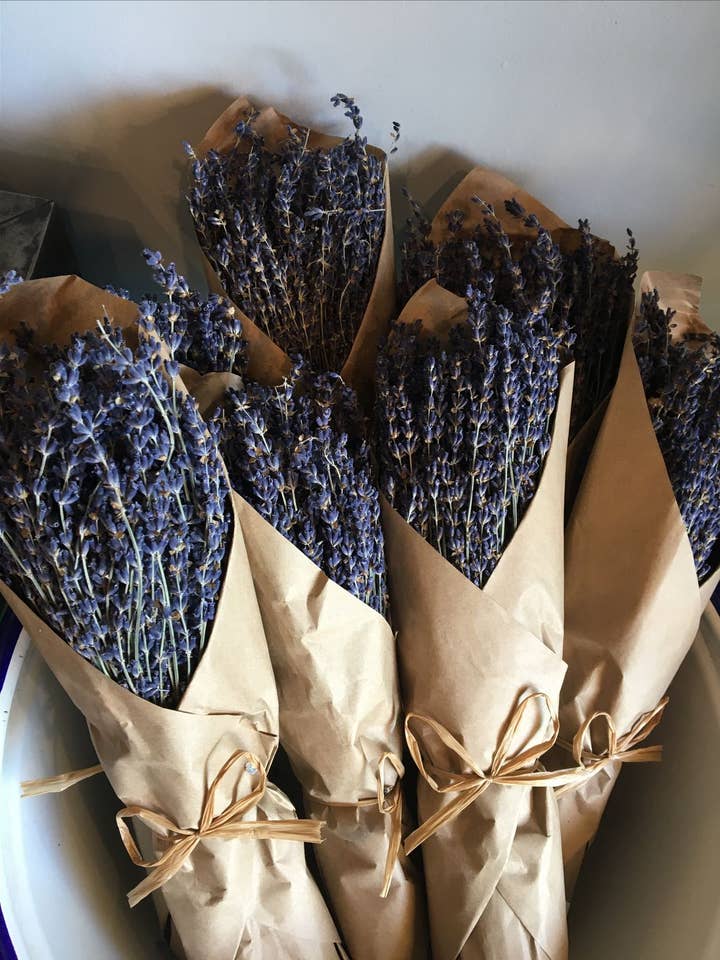 French Organic Lavender Bundle for wholesale by Violet Beach House