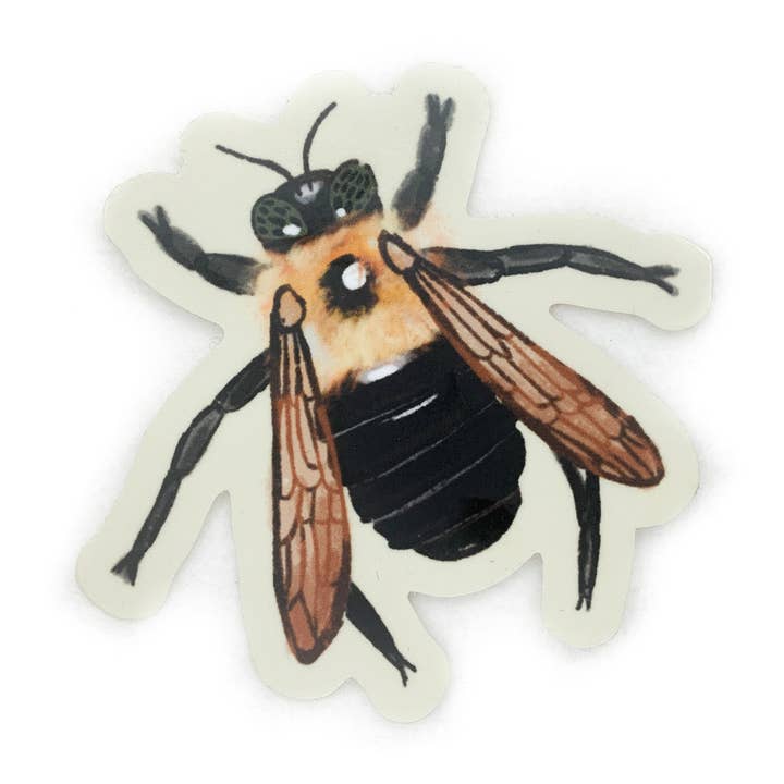 Carpenter Bee Sticker for wholesale by The PNW Dream