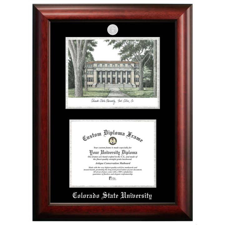 Silver Embossed Diploma Frame with Lithograph for wholesale by Campus Images