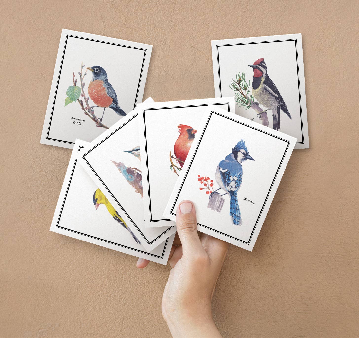 Twigs Paper - Wholesale Stationery/Notecard Set - Birds Greeting Card Set | Assorted Notecards4