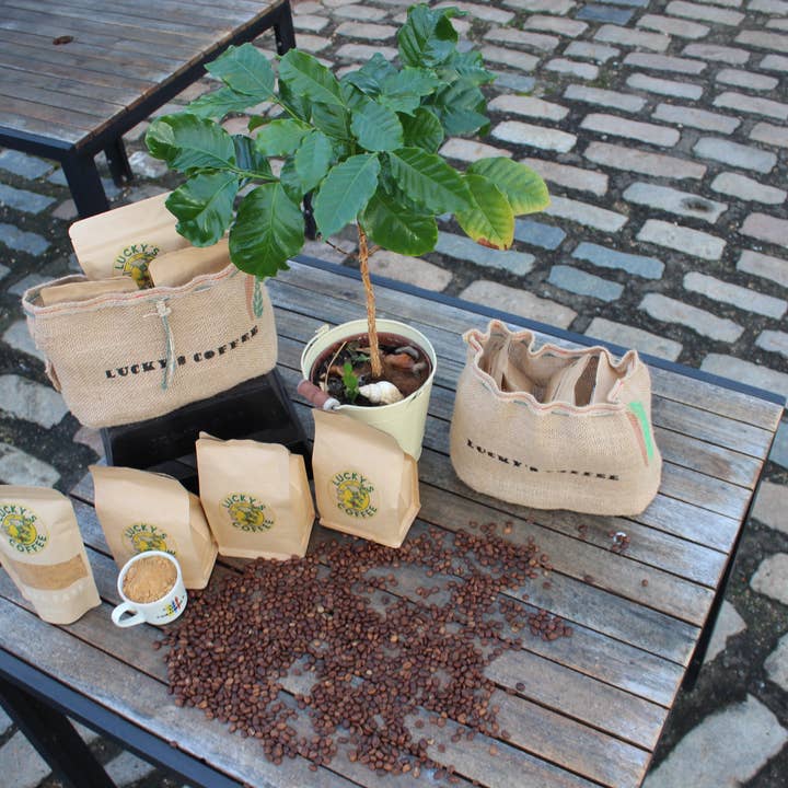 Wholesale Arabica Coffee Beans for wholesale by Lucky's Coffee