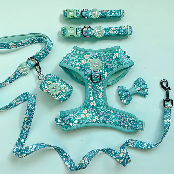 WYLD CUB - Wholesale Pet Harness - Dog - Adjustable Dog Harness: Notting Hill Mint5