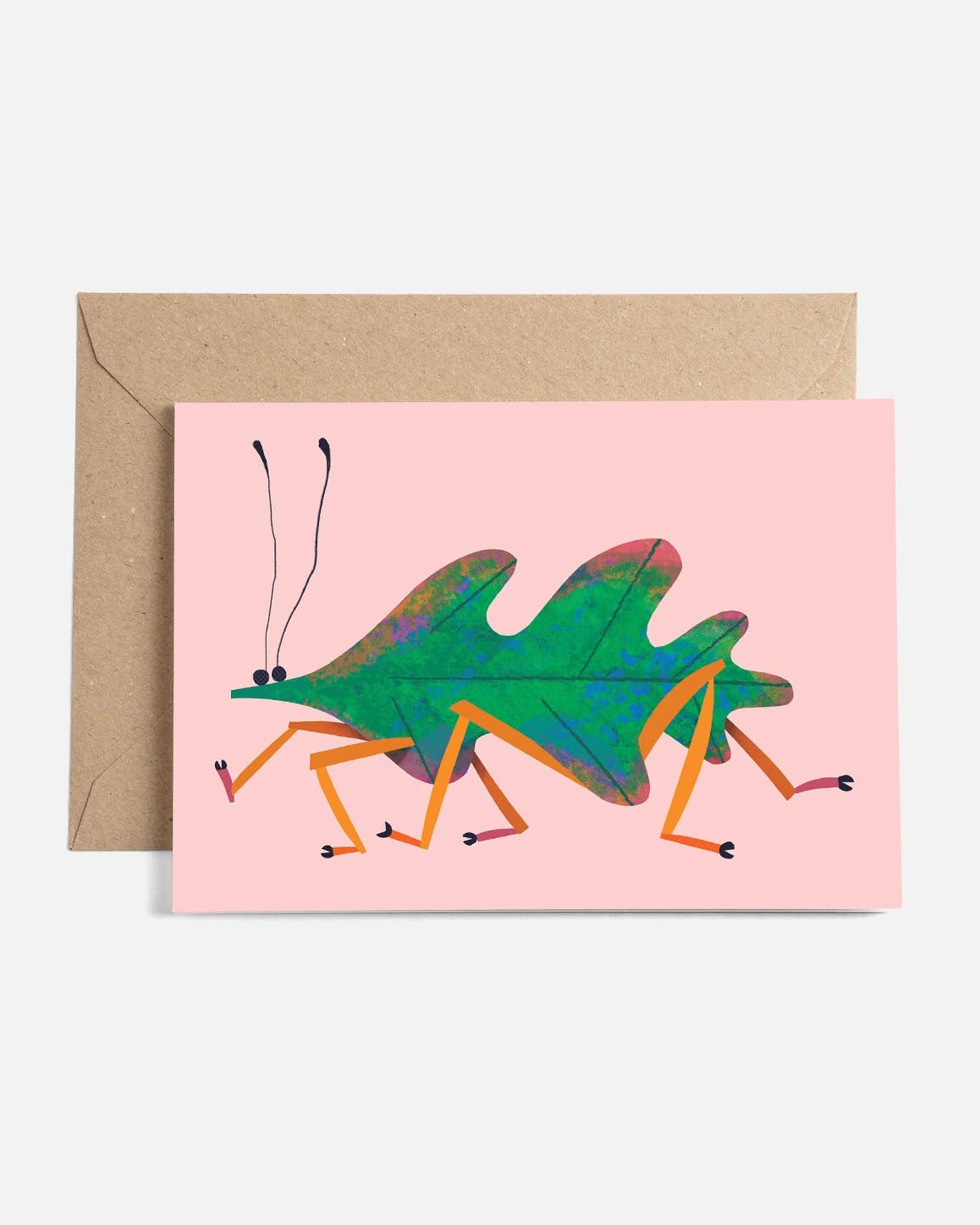 Sunny Beast - Wholesale Everyday Greeting Card - Creatures | Greeting Card Set2
