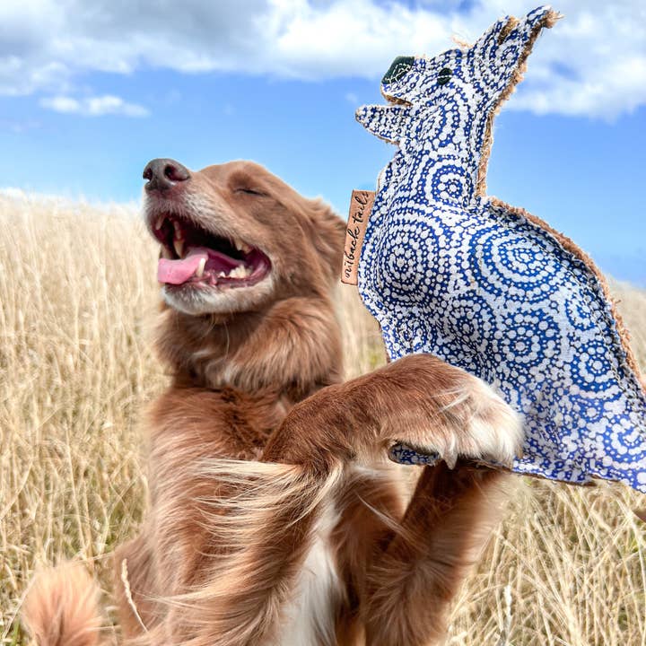 Outback Tails - Vente Jouet à mâcher – chien - Jouet à mâcher Desert Dog - Stinky1