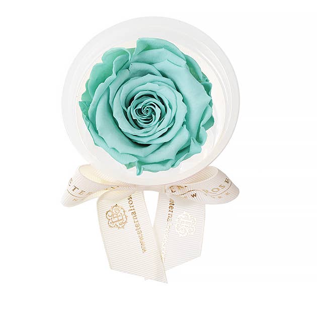 Eternal Roses® - Wholesale Party Favor - Eternal Rose Party Favors1