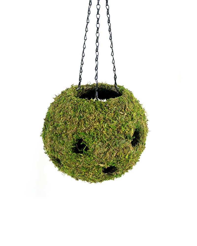 SuperMoss - Wholesale Hanging Planter - MossWeave Hanging Ball Planter0