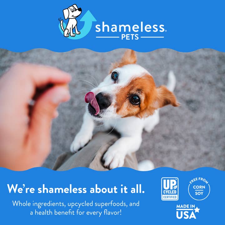 Shameless Pets - Wholesale Pet Treats - Dog - Peanut Butter Bliss Bone Broth Dog Training Treats
