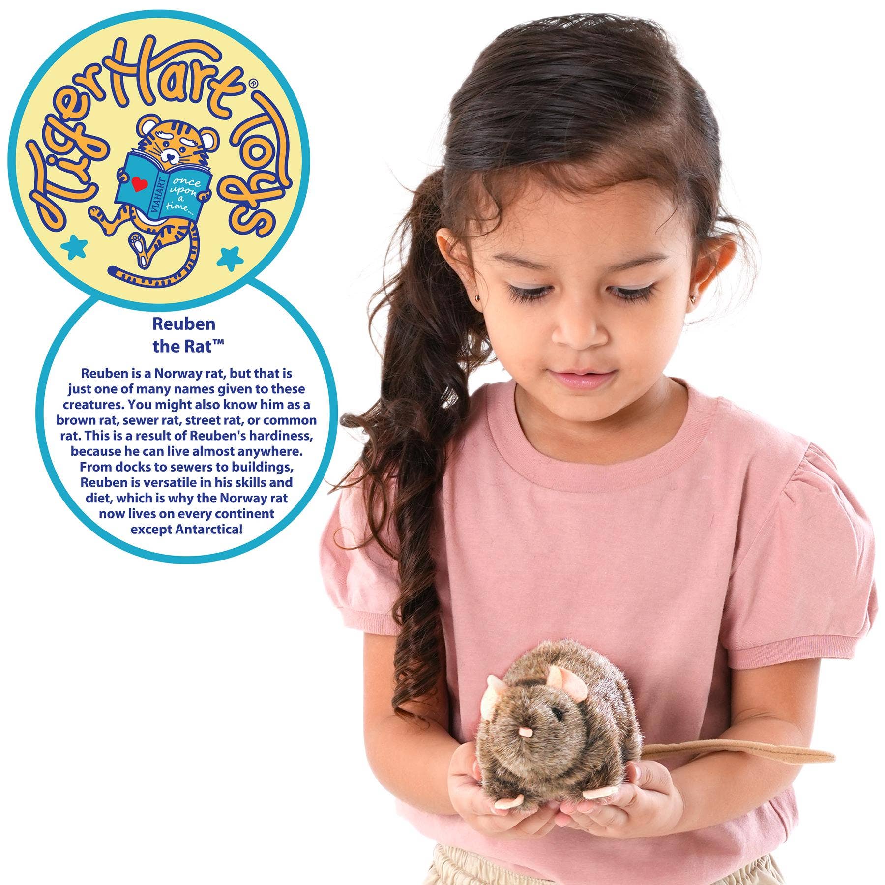 VIAHART Toy Co. - Wholesale Stuffed/Plush Toy - Kids & Baby - Reuben The Rat | 7 Inch Stuffed Animal Plush1