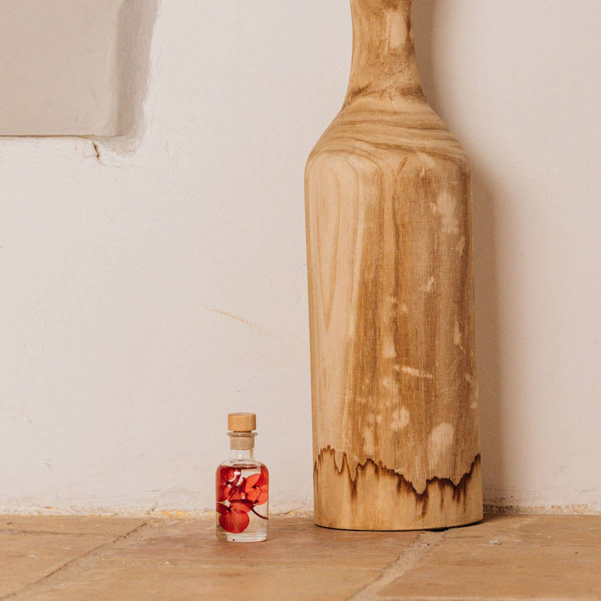 Theophile Berthon - Vente Plante - L'Herbarium Hortensia rouge Passion éternel3