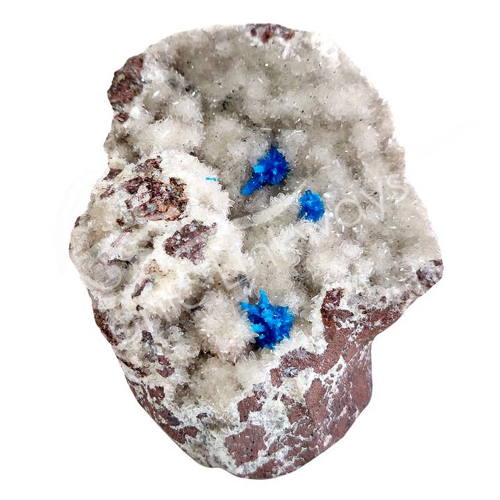Oceanic Linkways Inc - Wholesale Spiritual Stone/Crystal - (PC)SPECIMEN - CAVANSITE IN MATRIX 3-6"1