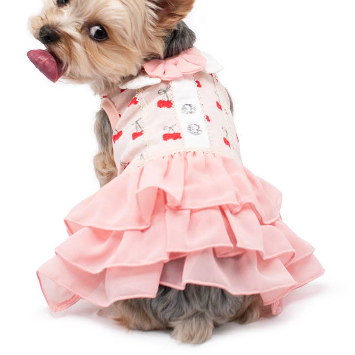 Cherish Cherry Dress for wholesale by Dogo Pet